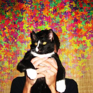 Awatar dla Figaro the Kid