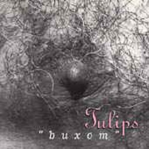 "Buxom"