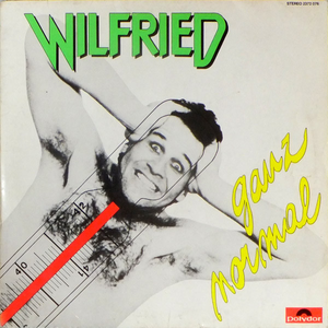 Der deutsche Schlager cover