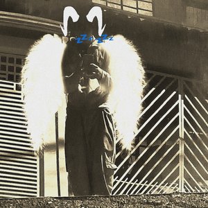 FLORESTA D GIRASSOL 的头像