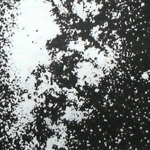 Avatar de Das Ruckgrat Der Nacht