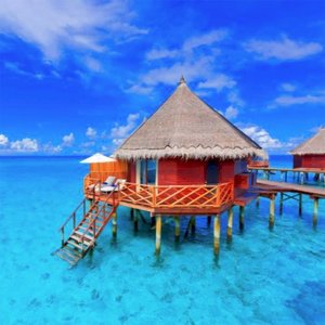 ＯＡＳＩＳ ２００６