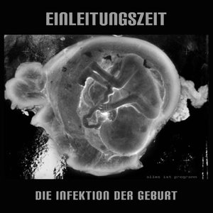 Die Infektion Der Geburt