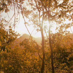 Six Days in Townsville