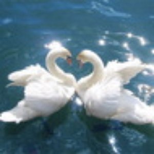 Piano *Silver Stream* Apr 1990