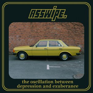 The Oscillation Between Depression and Exuberance - Single