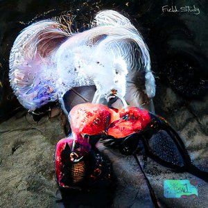 Field Study - EP