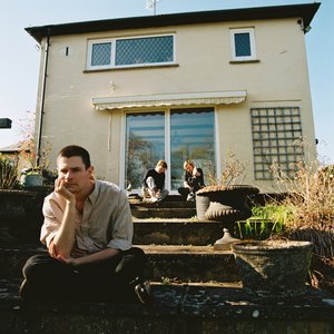 My Head Is a Wasp Nest - Single
