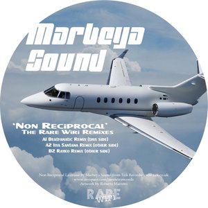 Non Reciprocal (The Rare Wiri remixes)