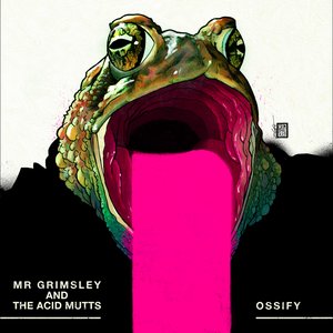 Mr Grimsley and The Acid Mutts 的头像