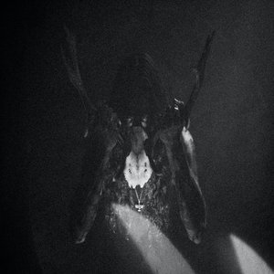 Avatar for Son of Seth