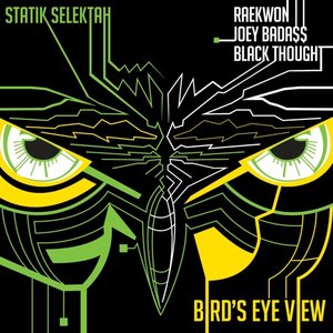 Bird's Eye View (feat. Raekwon, Joey Bada$$ & Black Thought)