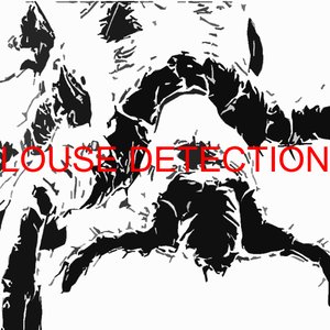Louse Detection