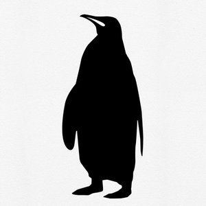 The Black Penguins 的头像