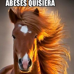 Abeses Quisiera [Explicit]