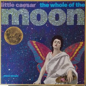 The Whole Of The Moon