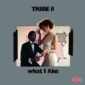Tribe 2 的头像
