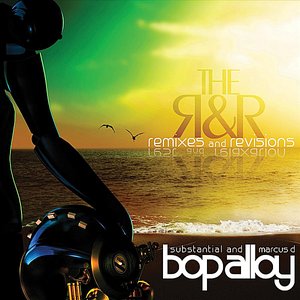 “The R & R (Remixes & Revisions)”的封面