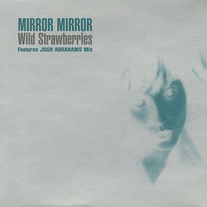 Mirror Mirror