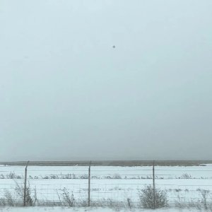 Cold Fronts