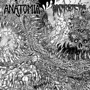 Anatomia / Morbific