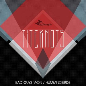 Bad Guys Won / Hummingbirds