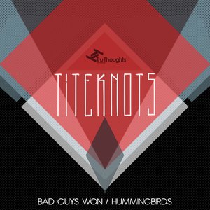 Bad Guys Won / Hummingbirds