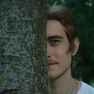 “vlasov”的封面