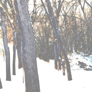 Image for 'dystenlysea'