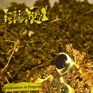 Desiccation In Progress I