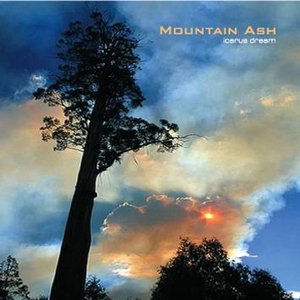 MOUNTAIN ASH のアバター