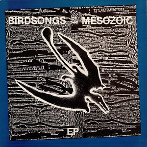 Birdsongs of the Mesozoic