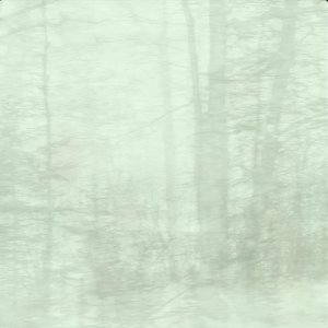 Acadia