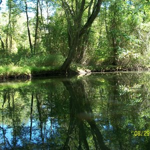 shores of the lethe