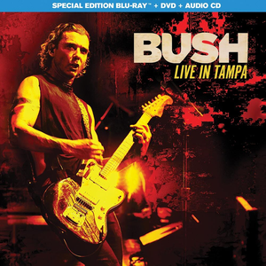 Bush - Live in Tampa - Zortam Music