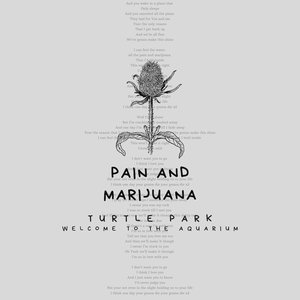 Pain and Marijuana