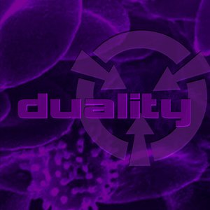 Duality
