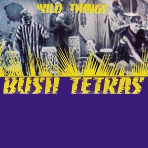 “Wild Things”的封面