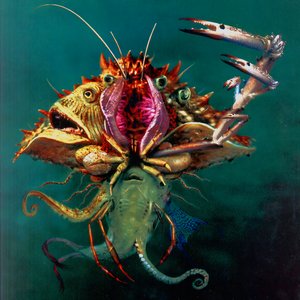 The Mollusk [Explicit]