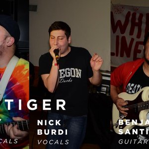 White Line Tiger 的头像