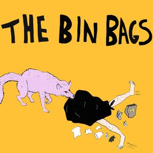 The Bin Bags