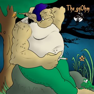 The gnOhm