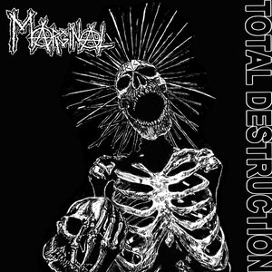 Total Destruction
