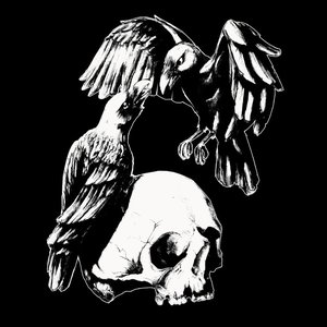 Crows