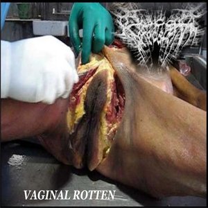 Bucal Defecation 的头像