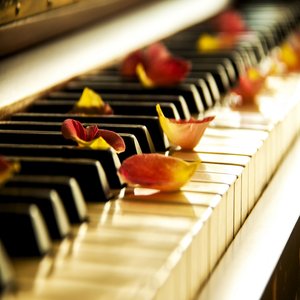 Soothing Piano Music 的头像