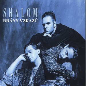 Brany vzkazu