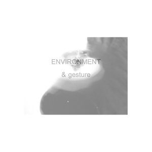 ENVIRONMENT & gesture