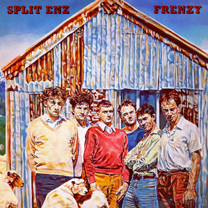 Frenzy cover