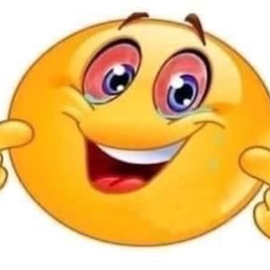 Avatar für Bfdi Music